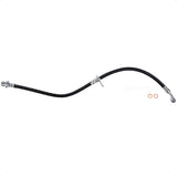 Mangueira flexível freio Honda Accord 2003-2007