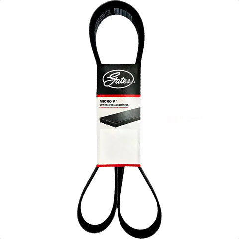 Correia alternador Honda Civic 1.7 2001-2006