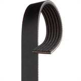 Correia alternador Honda Civic 1.7 2001-2006