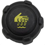Reservatório água Renault Clio Sandero Logan Kangoo Duster Symbol